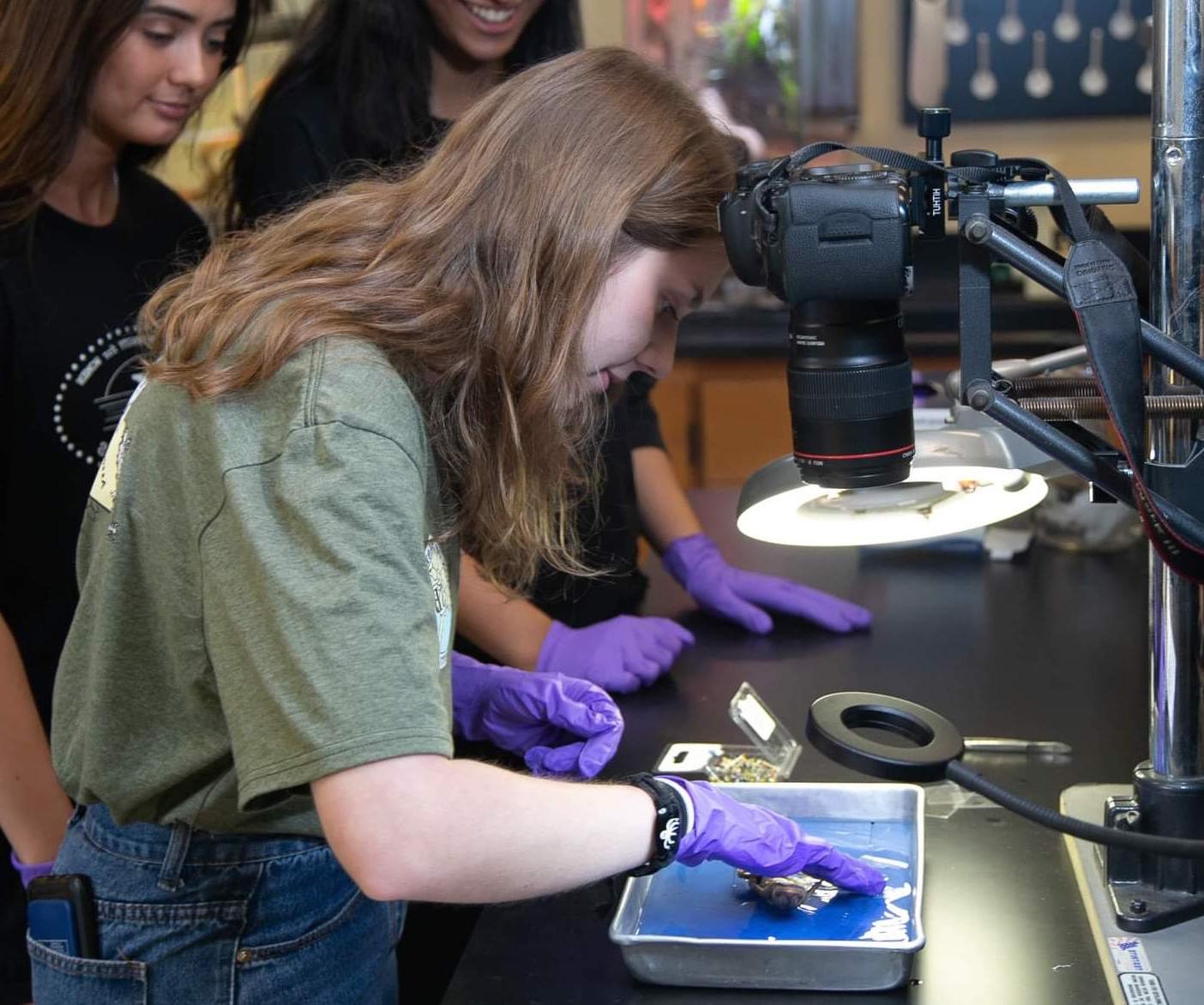 一个学生在实验室里检查一只壁虎